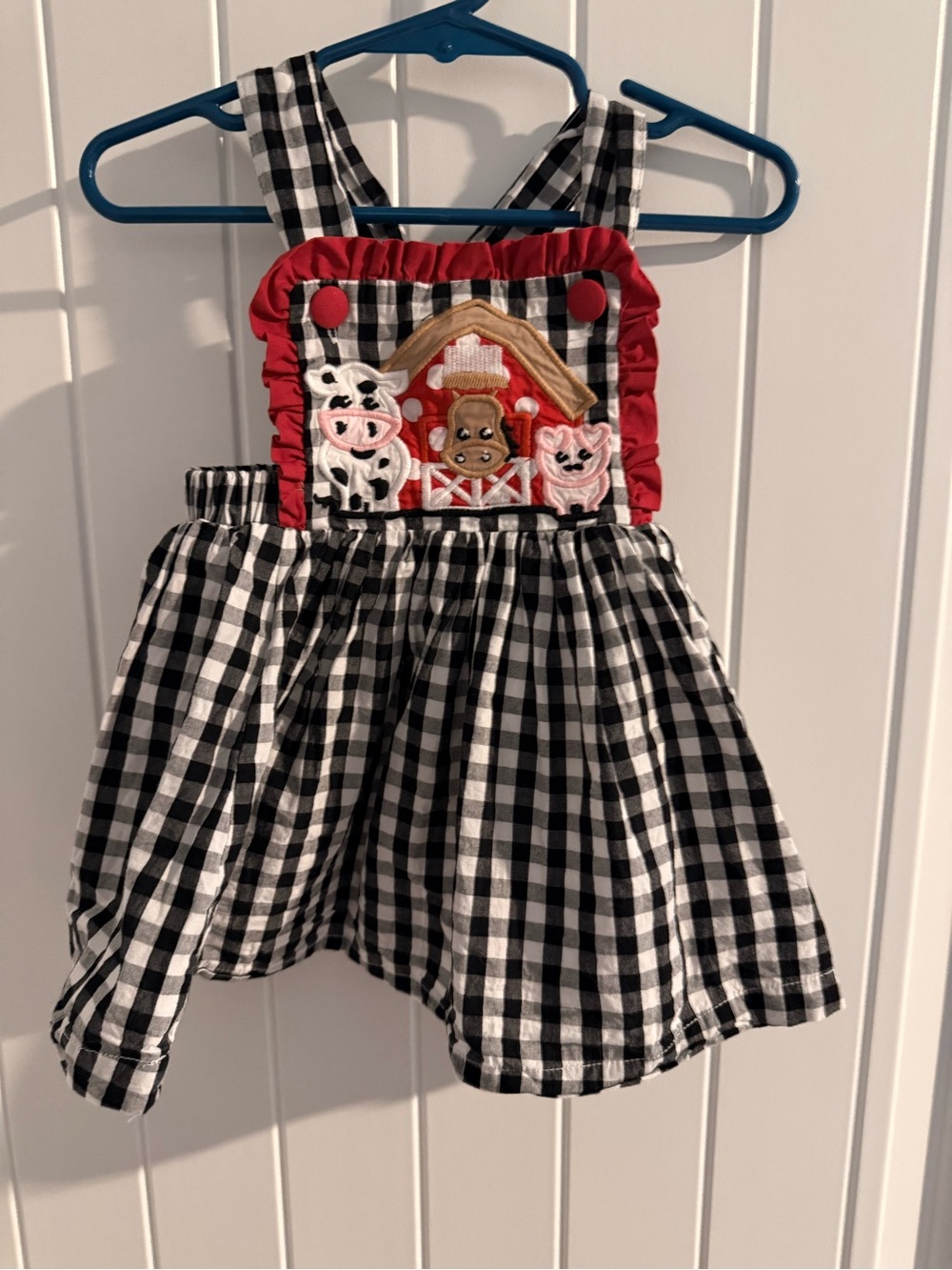Lil Cactus Farm Smocked Gingham Dress Size 3–6 Months